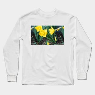 dafodil Long Sleeve T-Shirt